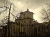 DSC05917.jpg