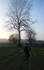 DSCF7431.jpg
