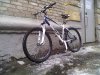 24022012594.jpg
