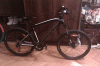 IMAG0613.gif