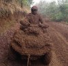 atv dirt1.jpg