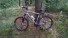 trek_3900D_1.jpg