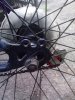 IMG_20150621_083936.jpg