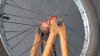 DSC_0780_493x277.jpg