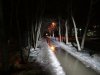 DSC00058.jpg