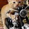 valery125