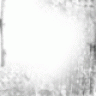 bobom